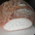 El cooksnap de tanyaglo cuando hizo Pan rápido Thermomix.