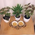 کوک اسنپ 👩🏻‍🍳qzawl_paz👩🏻‍🍳 بعد از امتحان کردن کاچی.