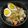 Ájvi's cooksnap of when they made Tempra Soba for lunch.