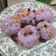 Cooksnap dari dede damayanti untuk resep Bola2 Donat / mini donat