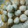 Cooksnap dari shamia yosevelin untuk resep Donat Madu