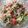 LauraD70's cooksnap of when they made Thai Mango Salad.