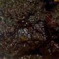 Cooksnap dari Vita Irawan untuk resep Sambal Bebek Bumbu Hitam Madura