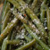gale.castillo's cooksnap of when they made Parmesan Garlic String Beans.