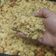 Cooksnap dari Dian Herliani untuk resep Cheese Palm Sugar cookies