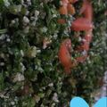 صورة من bushra 🌷، شاركها بعد تجربة وصفة تبوله😊😉