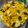 Aarti Dattani's cooksnap of when they made પાપડ પૌવા (Papad Poha Recipe In Gujarati).