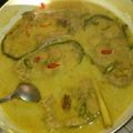 Cooksnap dari Agnii untuk resep Ikan patin kuah santan