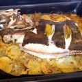 El cooksnap de Becky cuando hizo San Martiño con mantequilla de cítricos.