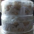 Cooksnap dari Sekar untuk resep Putri Salju Lumer Keju dan Crunchy