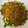 啊啊啊啊 的 螞蟻上樹 cooksnap