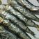 El cooksnap de Ore RoRo cuando hizo Sardinas al horno fáciles en 20 minutos.