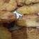 Cooksnap dari Mieke Arqian untuk resep Pisang Goreng Kriuk