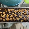 Cooksnap dari Theresia Catharina untuk resep Espresso brownies