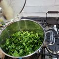 jonathan polk's cooksnap of when they made My Southern Collard Greens.