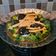 Cooksnap dari Okky Septiany untuk resep Braised Tofu Nori with Enoki and Broccoli