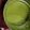 kanchan whadva's cooksnap of when they made Green chutney.