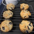 Gigi Shingala's cooksnap of when they made Blueberry Muffins.