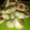 El cooksnap de Carmen Gomez cuando hizo Chipa mestizo 🇵🇾.