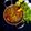Dolly Kachhwani's cooksnap of when they made Mutton Rogan Josh (Mutton in Kashmiri style).