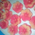 Cooksnap dari Entin Joe untuk resep Lapis bunga Sakura (snack box dan kue nampan)