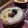 سفرة و حلى's cooksnap of when they made ام علي بالفطير.