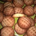 CieM Cooksnap-ja, amikor elkészítette a(z) Gyors keksz receptet.