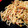 El cooksnap de DelicIANNcook cuando hizo Spaghetti con salsa de plátano al curry.