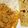 Cooksnap de Deolinda Alves quando cozinhou Dahl de Lentilhas com Chapati.