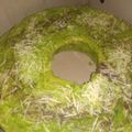 Cooksnap dari SusiloWatii untuk resep Bolu pandan panggang lembut (3 telur)