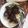 Cooksnap dari nurul novianti untuk resep Bacem Jerohan Sapi