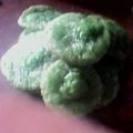 Cooksnap dari Isna Wati untuk resep Kue kucur aka cucur