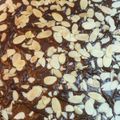 Cooksnap dari Inung Kartika untuk resep Super Easy Fudgy Brownies