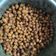 mitu madlani's cooksnap of when they made મસાલા ચણા(msala chna in Gujarati recipe).