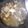 El cooksnap de Myriam cuando hizo Almejas en salsa verde.