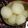 Madhu Mala's Kitchen 's cooksnap of when they made रसगुल्ला(RASGULLA RECIPE IN HINDI).