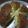 Cooksnap Norida Alias semasa beliau membuat Korean Garlic Cheese Bread.