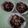 Cooksnap dari mrs. awing untuk resep Choco corn fla*s