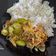 Cooksnap dari Anggar S untuk resep Tumis Toge Ikan Asin dengan Petai