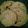 Bina Talati's cooksnap of when they made મલ્ટી ગ્રેઈન ફુલકા રોટલી (Multi Grain Fulka Rotli Recipe In Gujarati).
