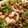El cooksnap de JL Villena cuando hizo Ensalada queso de cabra.