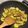 李方婷 的 蒜炒奶油櫛瓜蔬菜燒 cooksnap
