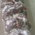 صورة من سوسن، شاركها بعد تجربة وصفة ليزي كيك
