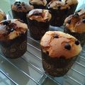Cooksnap dari istry ani untuk resep Cup Cake Milo