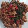 Cooksnap dari Hniie Prii untuk resep Thai Chicken Basil (Pad Krapow Gai)