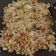 Cooksnap dari Siswantia untuk resep Nasi Goreng Teri Medan