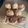 Daphne Slater's cooksnap of when they made Cheese and wild garlic scones.