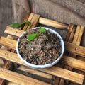 Cooksnap Salina Jalaludin semasa beliau membuat Sambal Pusuk Sarawak.