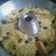 Cooksnap dari indriya untuk resep Puding Roti Tawar Panggang