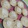 Cooksnap dari fanny santoso untuk resep Kue Cubit Santan
